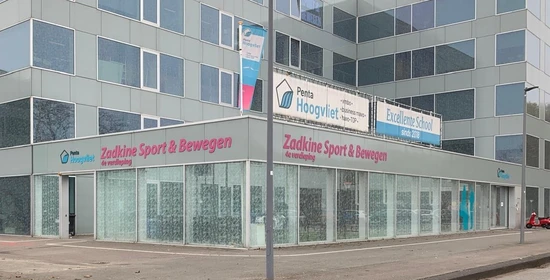 Locatie Zadkine Elritsstraat