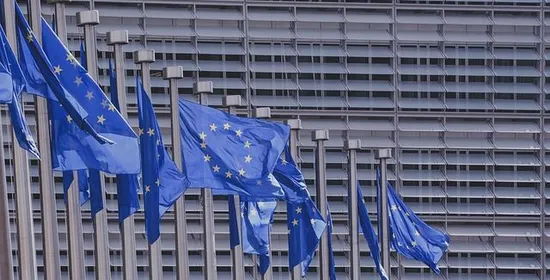 zadkine goede school vanwege stagemogeljkheden bij europees parlement 