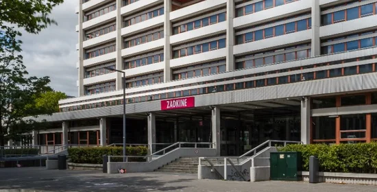 Locatie Zadkine Benthemplein